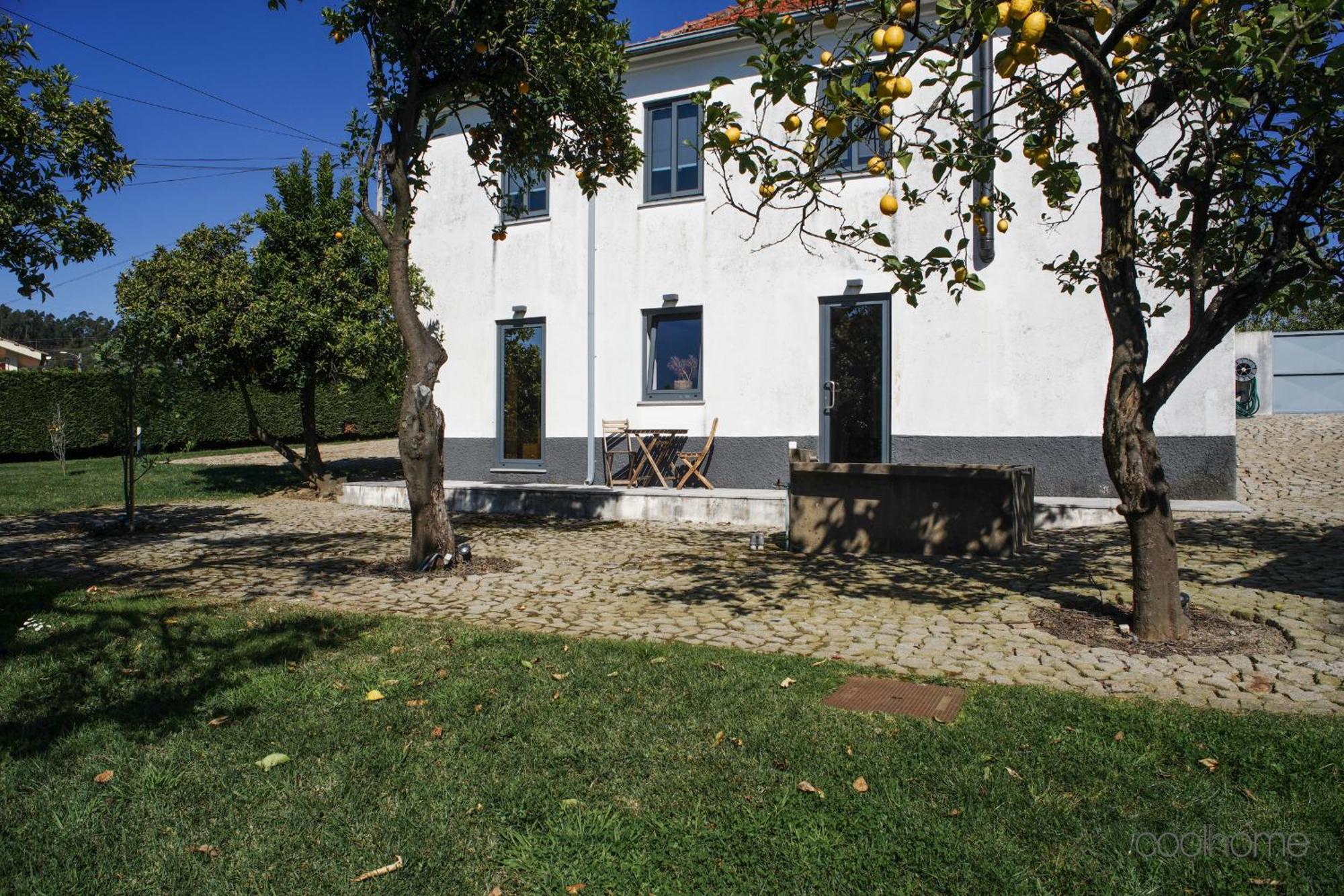 12 Casa D'Avo Villa Albergaria-a-Velha Eksteriør billede