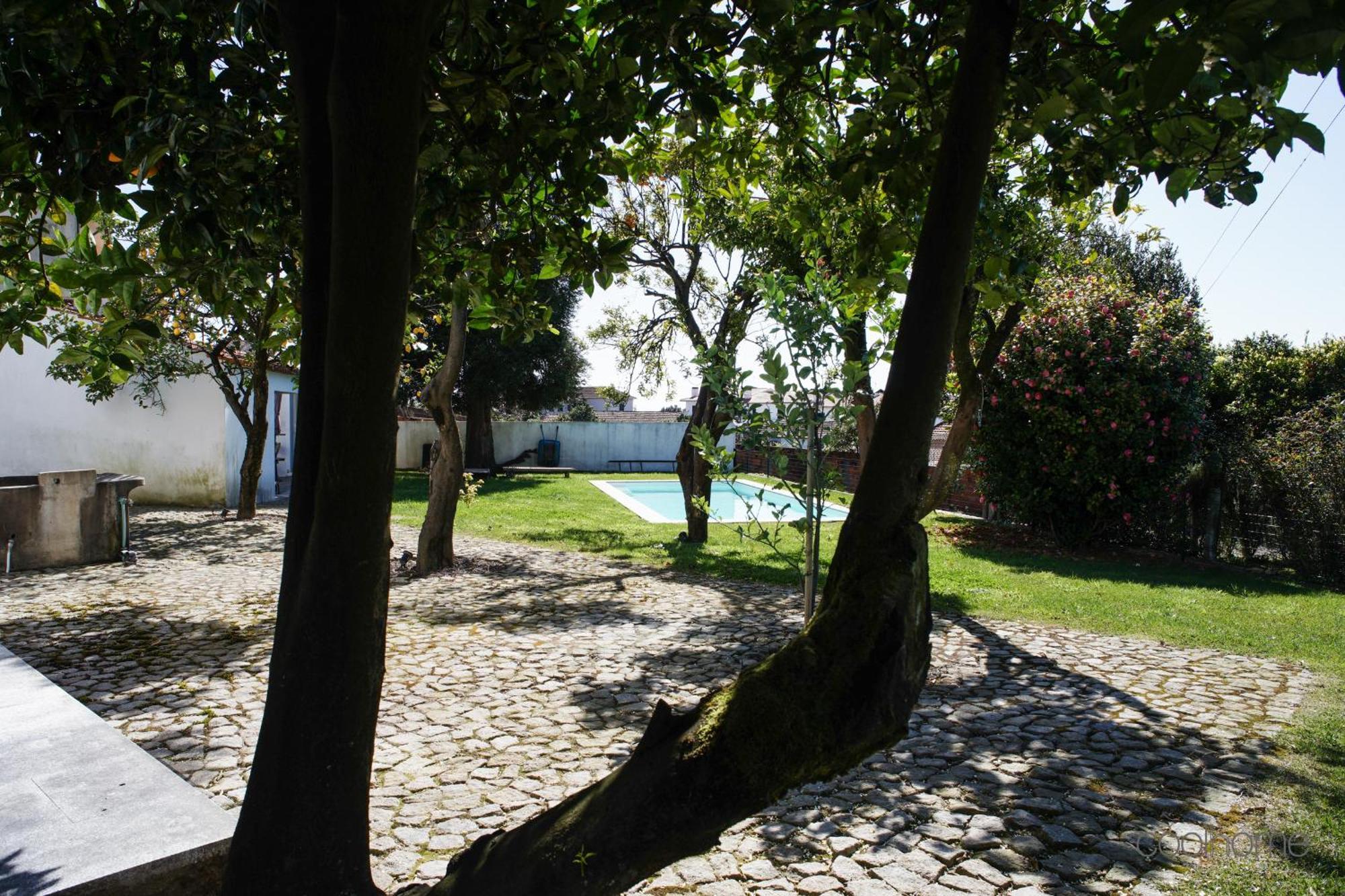 12 Casa D'Avo Villa Albergaria-a-Velha Eksteriør billede